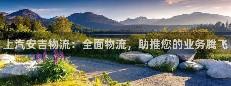 28圈麻将胡了