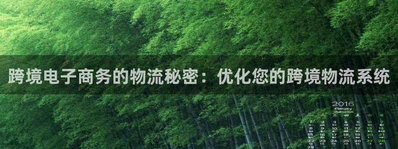 自行车28圈是什么意思