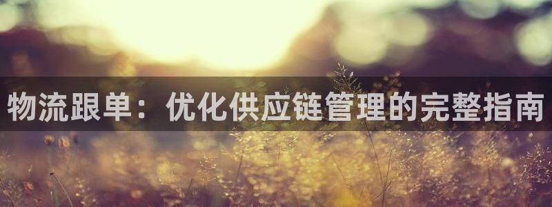 28圈ccm游戏