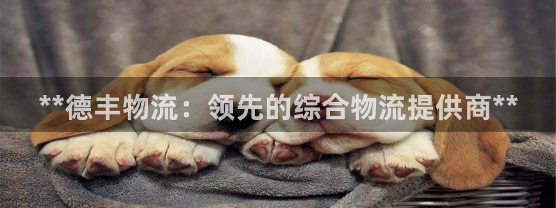 28圈加拿大是什么意思