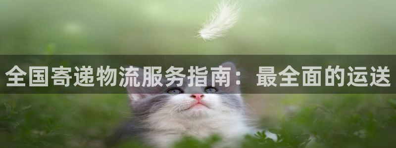 自行车28圈是什么意思