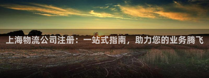 28圈流水怎么算：上海物流公司注册：