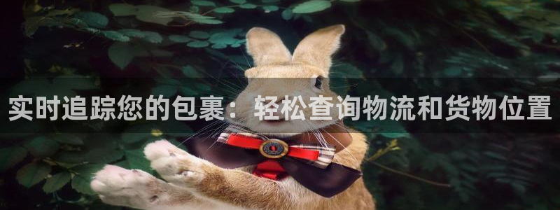 28圈加拿大怎么玩