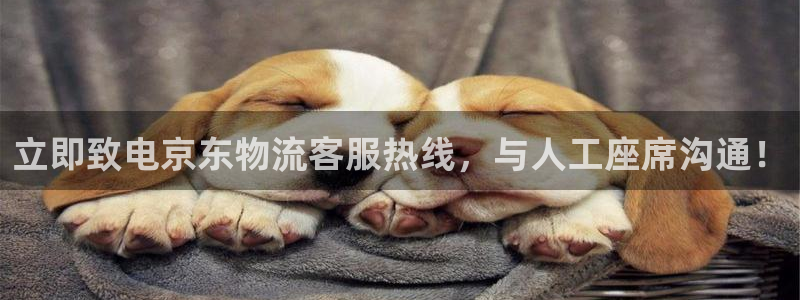 28圈模拟器在线使用：立即致电京东物