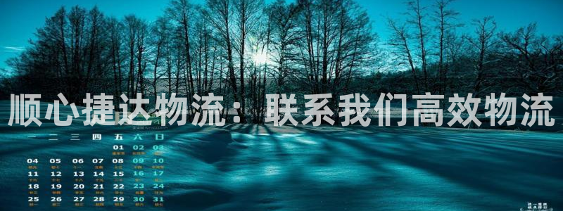28圈下载体育