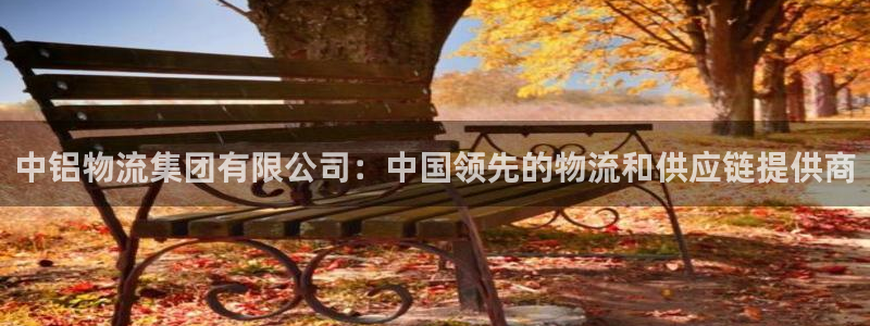 28圈充值不到账怎么回事