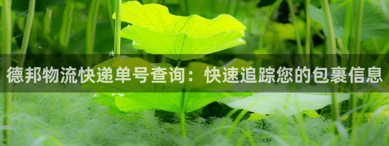 28圈反水