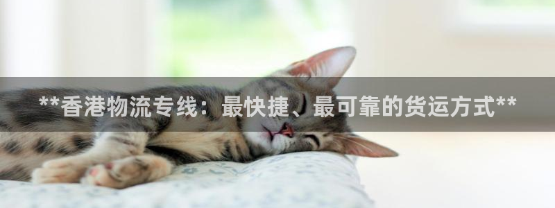 28圈.ccmpc正版