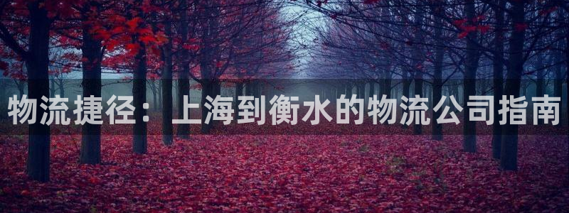 28圈新用户怎么注册