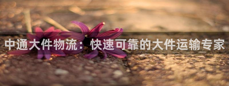 28圈注册二维码