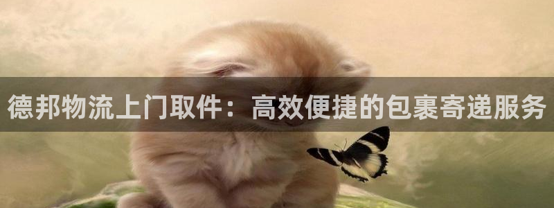 28圈比特28真实吗