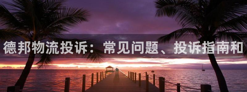 28圈代理落网