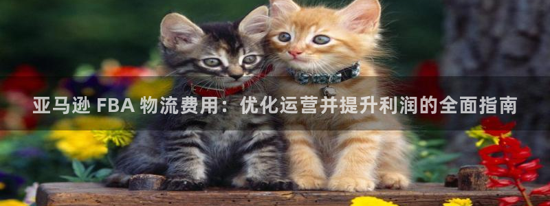 28圈预测加拿大师准