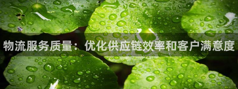 28圈麻将胡了在线试玩