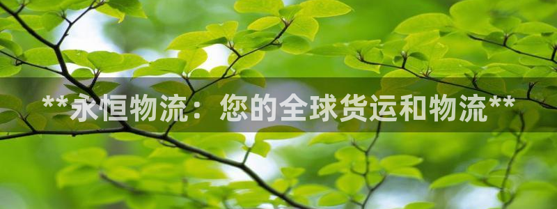 28圈忘记账号