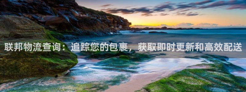 28圈注册