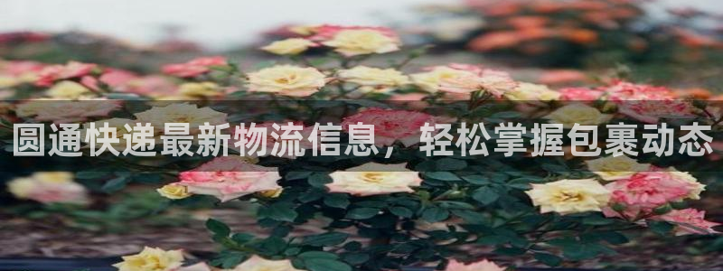 28圈加拿大下载