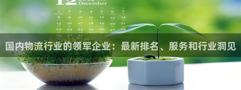 28圈注册网页版