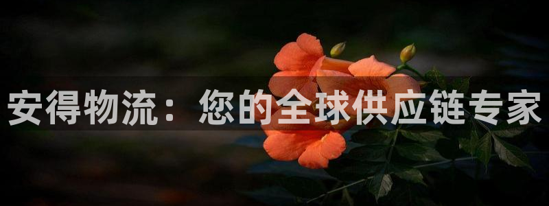 28圈.ccmpc29官网版