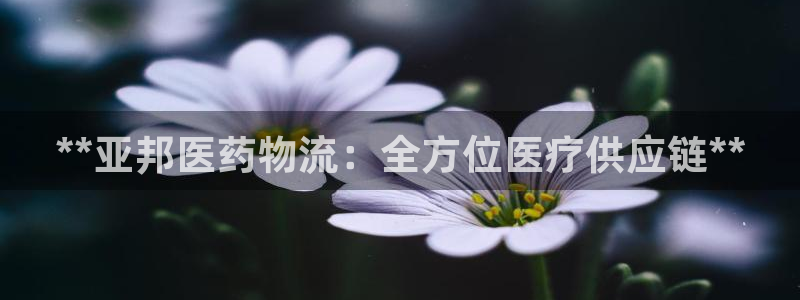 28圈账号注册
