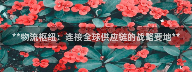 28圈预测