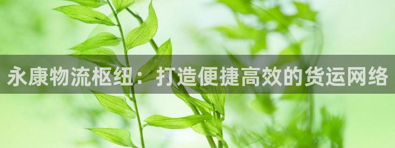 28圈充值为什么充不了