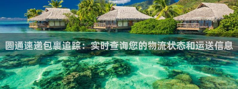 28圈图片