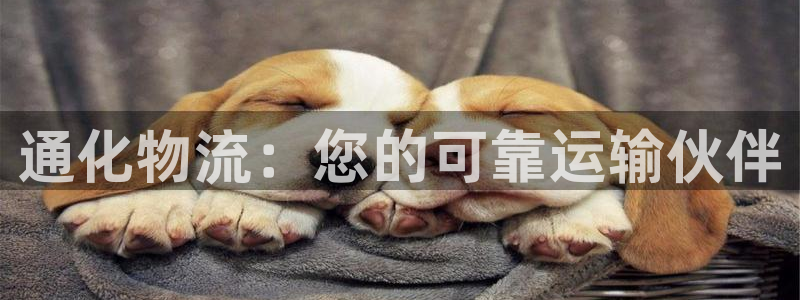 28圈为什么打不开