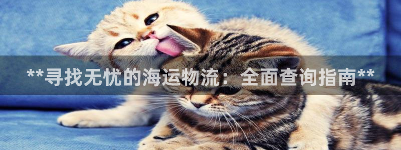 28圈机器人是什么软件