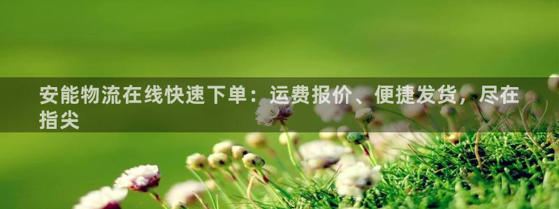 28圈p扣款什么意思