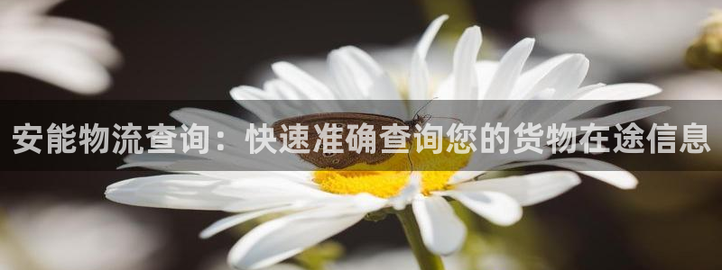 28圈注册限制怎么解除