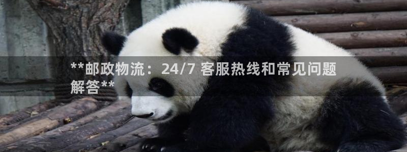 28圈官方网站预测