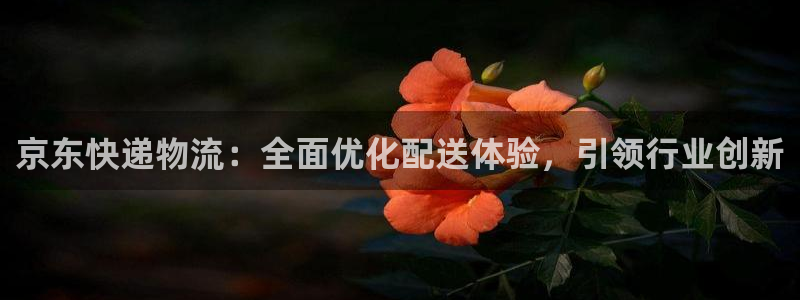 28圈分分28预测