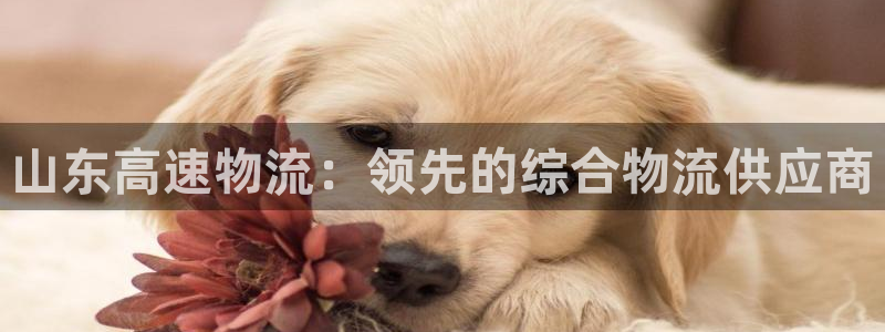 28圈能不能退：山东高速物流：领先的