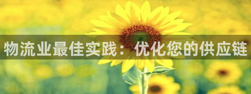 28圈官网注册：物流业最佳实践：优化