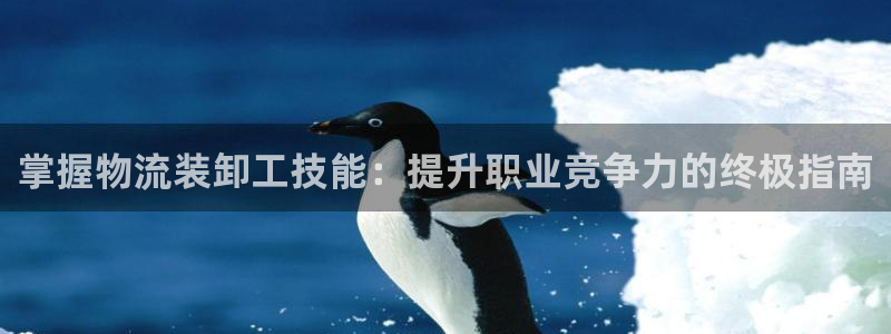 28圈模拟器下载：掌握物流装卸工技能