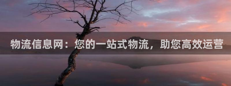 28圈激活码: 物流信息网:您的一站