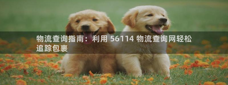 28圈pg麻将胡了：物流查询指南：利