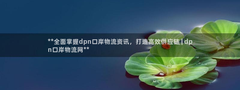 28圈昵称