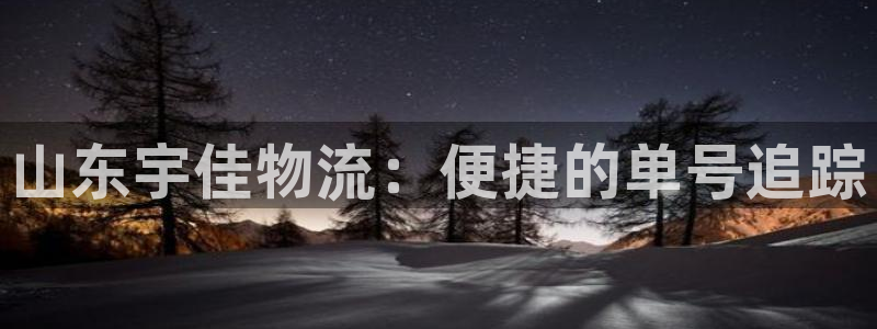 28圈登录网:山东宇佳物流:便捷的单