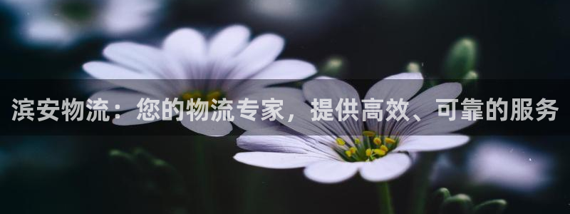 28圈登录：滨安物流：您的物流专家，