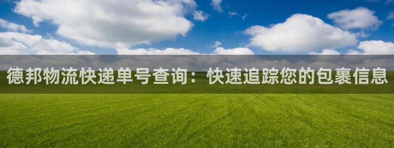 28圈注册与教程：德邦物流快递单号查