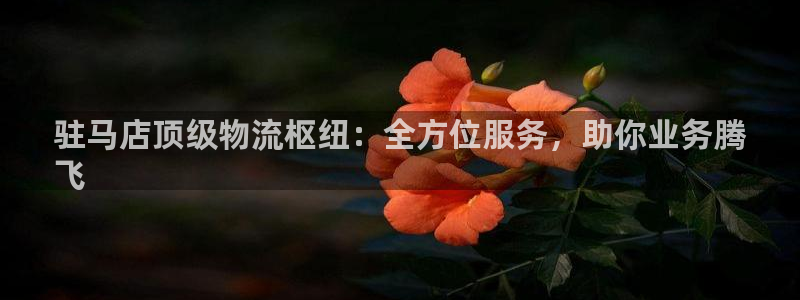 28圈黑钱：驻马店顶级物流枢纽：全方