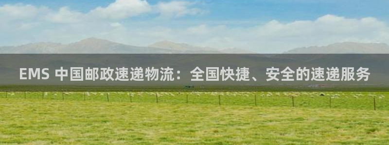 28圈电子游戏