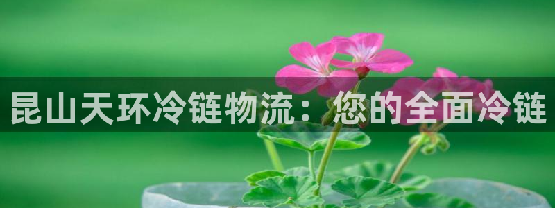 28圈连接