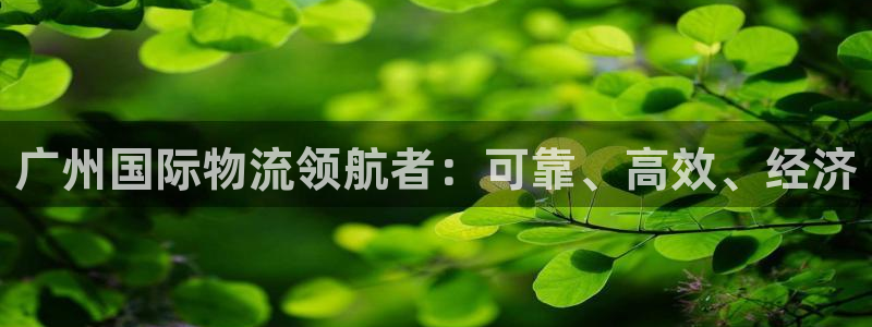 28圈里的财神