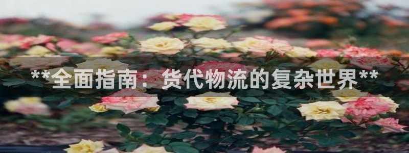28圈ccm官网版