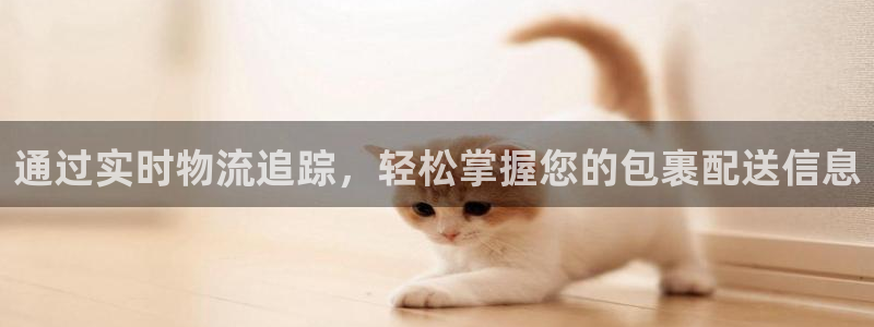 28圈免费：通过实时物流追踪，轻松掌