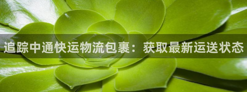 28圈合法吗：追踪中通快运物流包裹：