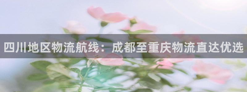 28圈游戏官网版